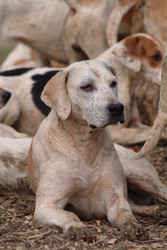 Similar image 7954445