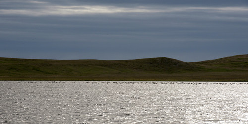 Similar image 7954448