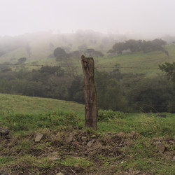 Similar image 7954449