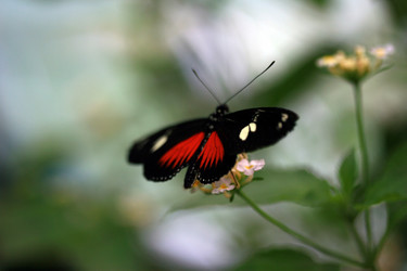 Similar image 7954459