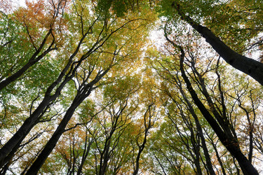 Similar image 7954464