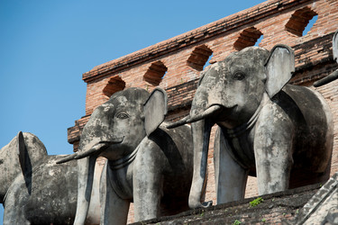 Similar image 7954466