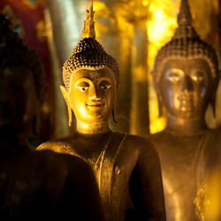 Similar image 7954469