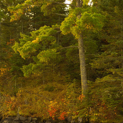 Similar image 7954473