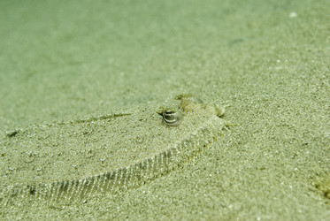 Similar image 7954488