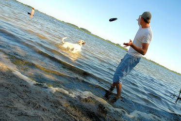 Similar image 7954492