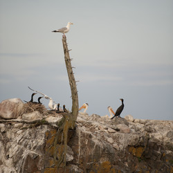 Similar image 7954494