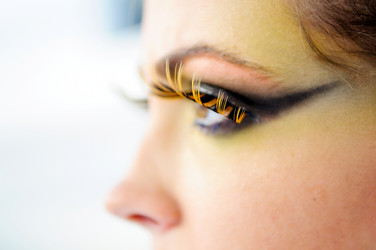 Similar image 7954496