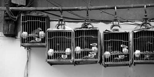 Similar image 7954509