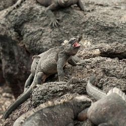 Similar image 7954511