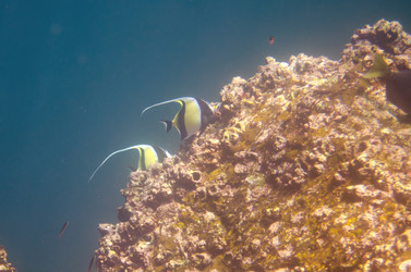 Similar image 7954521