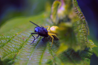 Similar image 7954535