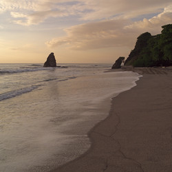 Similar image 7954536