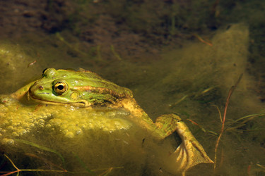 Similar image 7954537