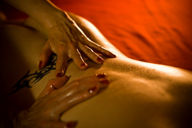 Similar image 7954539