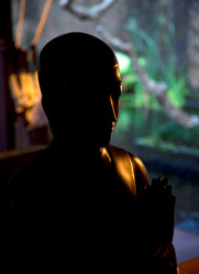 Similar image 7954549