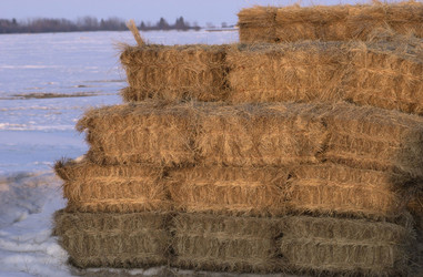 Similar image 7954551