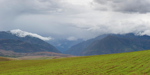 Similar image 7954571