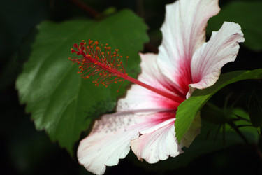 Similar image 7954575