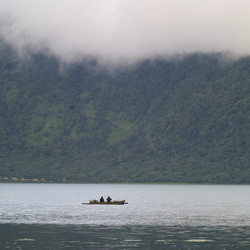 Similar image 7954588