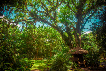 Similar image 7963036