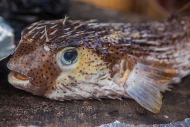 Similar image 7963042