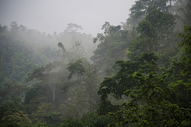 Similar image 7963045