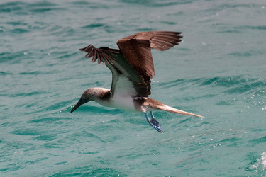 Similar image 7963057