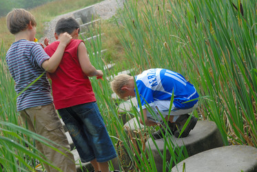 Similar image 7963061