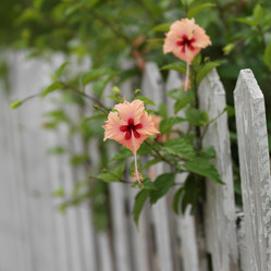 Similar image 7963138