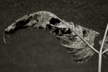 Similar image 7963148