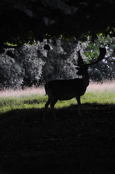 Similar image 7963170