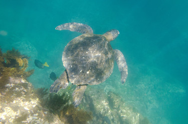 Similar image 7963177