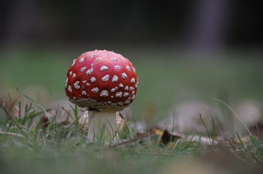 Similar image 7963178