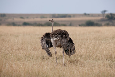 Similar image 7963179