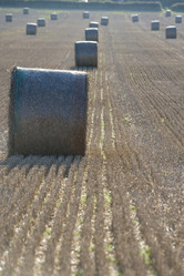 Similar image 7963183