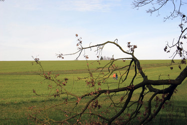 Similar image 7963218