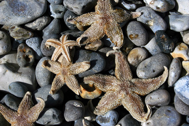 Similar image 7963227