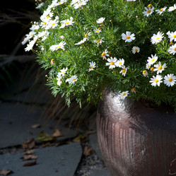 Similar image 7963234