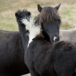 Similar image 7963236