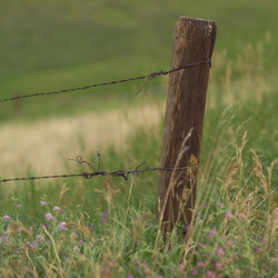 Similar image 7963237