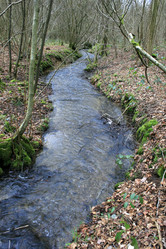 Similar image 7963245