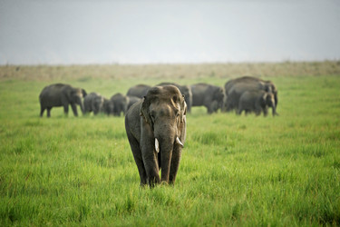 Similar image 7963254