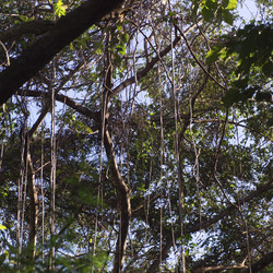 Similar image 7963260