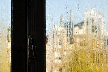 Similar image 7963261