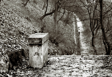 Similar image 7963267