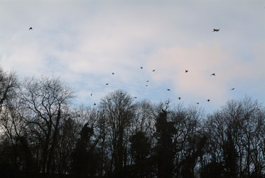 Similar image 7963268