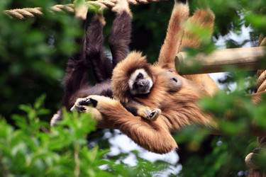 Similar image 7963272