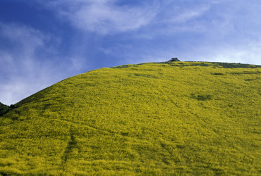 Similar image 7963276