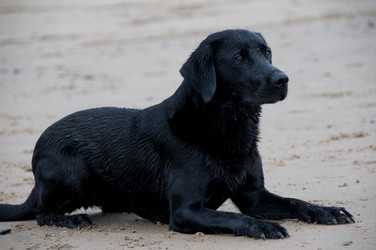 Similar image 7963277